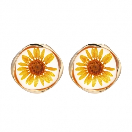 Explosive small daisy earrings sweet and cute sunflower earrings 925 silver needle net red temperament earrings wholesale