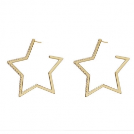 New trendy five-pointed star rhinestone earrings design sense earrings silver needle simple wild earrings