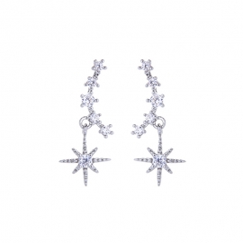 Korean version of s925 silver needle temperament earrings high sense zircon diamond earrings wild eight-pointed star earrings
