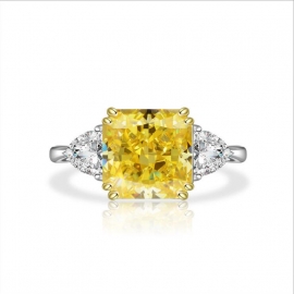 Elegant high quality fashion zircon s925 silver ring