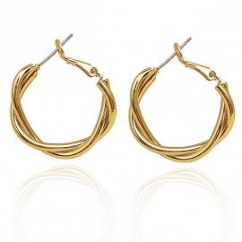 S925 silver needle european and american fashion geometric twist earrings net red simple metal earrings personality trendy wild earrings women