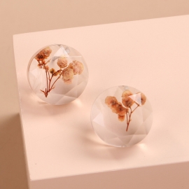 European and american cross-border new small and fresh geometric square dried flower earrings simple plant characteristic creative earrings