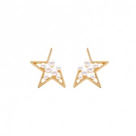 Simple and versatile 925 silver needle earrings temperament versatile pearl earrings female creative opening star earrings