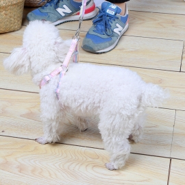 Ethnic wind plain dog leash dog leash