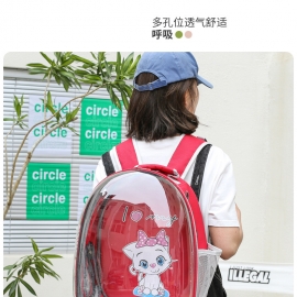 Cat bag capsule pet bag breathable transparent outside
