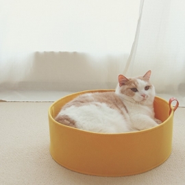 Cats nest can keep you warm in winter