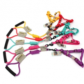 Dog round leash and harness or collar with foam handle