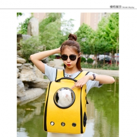 Portable bag transparent cat bag