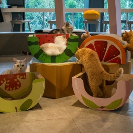 Cat scratch board large wear-resisting claw board multi-functional corrugated cat nest