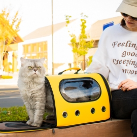 Portable cat bag portable folding pet backpack single shoulder bag