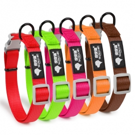 A multicolored dog collar