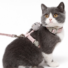 Flash cloth core bear cat leash