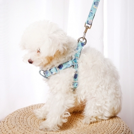 Nylon patch cartoon daisy pet supplies leash