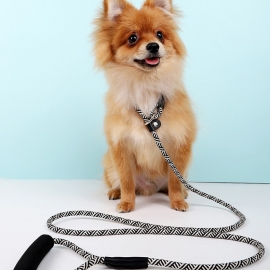 Pu leather bag mouth woven satin p chain large and small dog leash dog chain