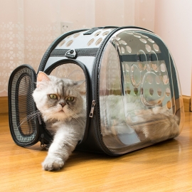 Go out to carry transparent cat and dog backpack