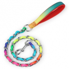 Rainbow chain through colorful nylon dog leash