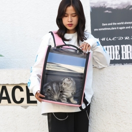 Large capacity portable transparent and breathable cat space capsule