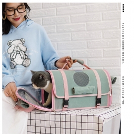 Space capsule backpack canvas cat out to carry