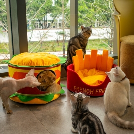 Hamburger fries sprite cat house