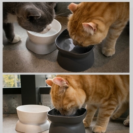Protect the diagonal mouth of cervical food bowl from upsetting the dog bowl