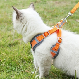 Small dog chest strap teddy bear pomeraner puppy dog leash dog chain