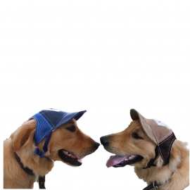 Sun protection hat g pet baseball cap