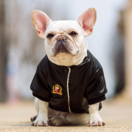 Pet winter leather jacket leather coat