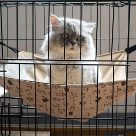 Colorful breathable cat hammock