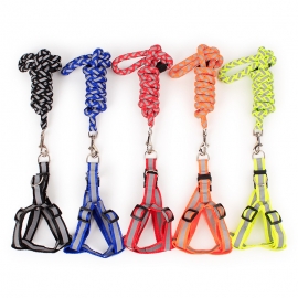 Polyester reflective woven leash for dogs at night