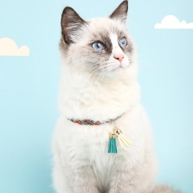 Hand-woven pet collar color woven pet cat collar