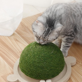The wood-colored turtle spins the amusement wheel