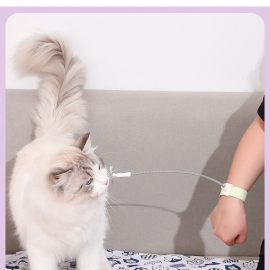 Pop-lap cat-ticker set interactive cat-ticker toy