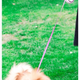 Boutique two-color automatic retractable leash out dog leash dog tractor