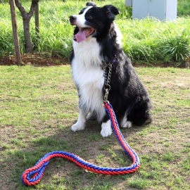 Color eight-ply nylon braided pet leash