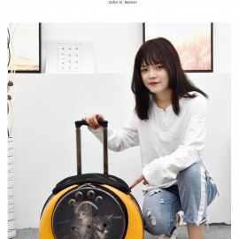 Pull lever cat bag out portable space capsule bag