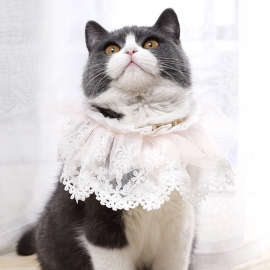 Pearl double lace small fresh pet scarf