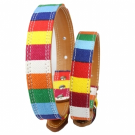 Colorful dog collar and leash