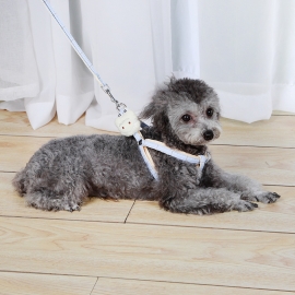 Cartoon dinosaur check leash dog leash cartoon dinosaur check leash