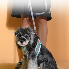 Outdoor dog leash retractor with foam handle for night reflection