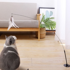 A cat with a collar a sucker a wire cat with a feather toy