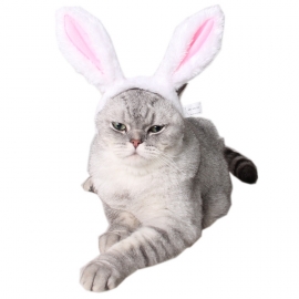 Bunny headdress pet