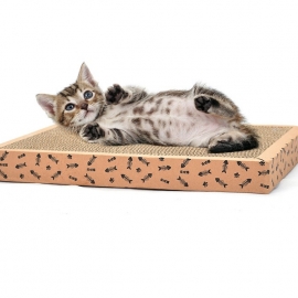 Pet claw sharpener cat supplies wear-resistant fish bone long straight plate