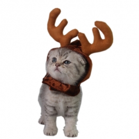 Pet antler hats