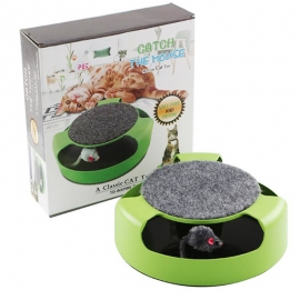 Cats catch mice and play with cat toys