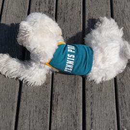 Pet clothes summer thin custom