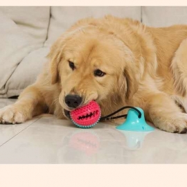 Single sucker pull rope toy tug-of-war grinding teeth