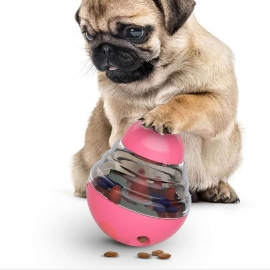 Tumbler interactive swing leaky ball