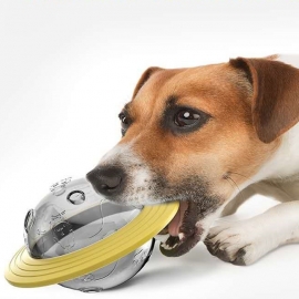 Dog missed a toy on planet wang