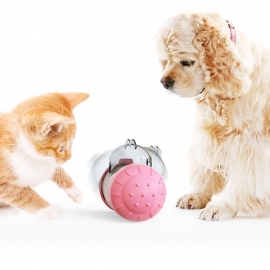 The swinging dog leaks the ball